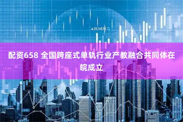 配資658 全國跨座式單軌行業產教融合共同體在皖成立